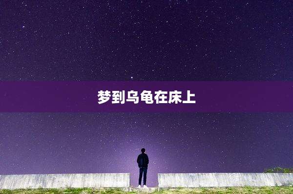 梦到乌龟在床上