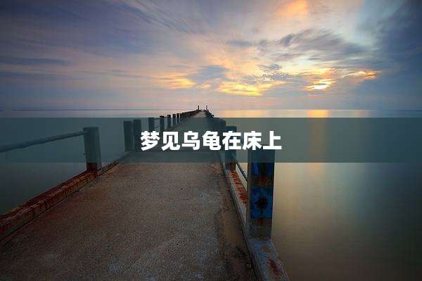 梦见乌龟在床上