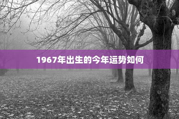 1967年出生的今年运势如何