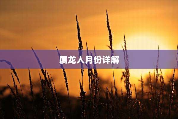 属龙人月份详解