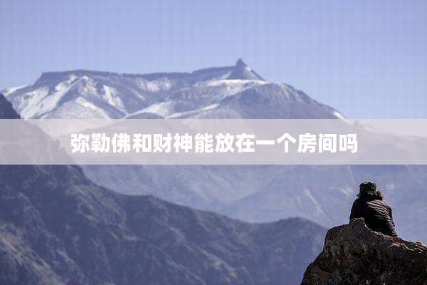 弥勒佛和财神能放在一个房间吗