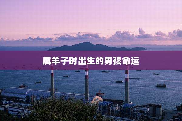 属羊子时出生的男孩命运