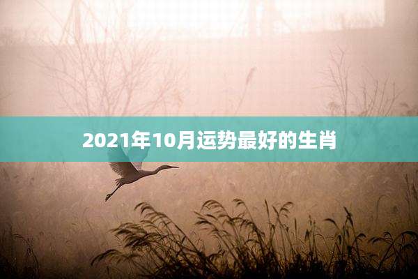 2021年10月运势最好的生肖