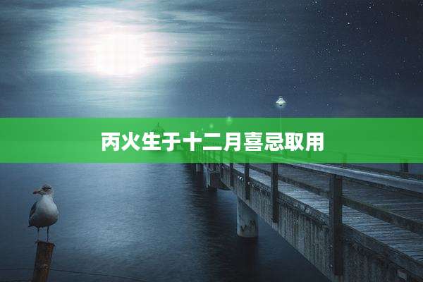 丙火生于十二月喜忌取用