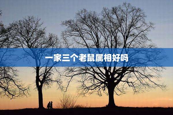 一家三个老鼠属相好吗