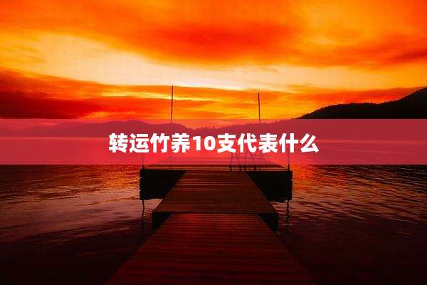 转运竹养10支代表什么
