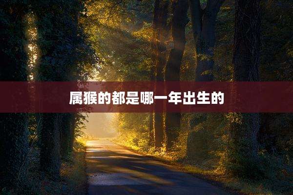 属猴的都是哪一年出生的