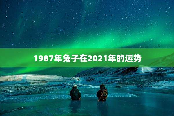 1987年兔子在2021年的运势