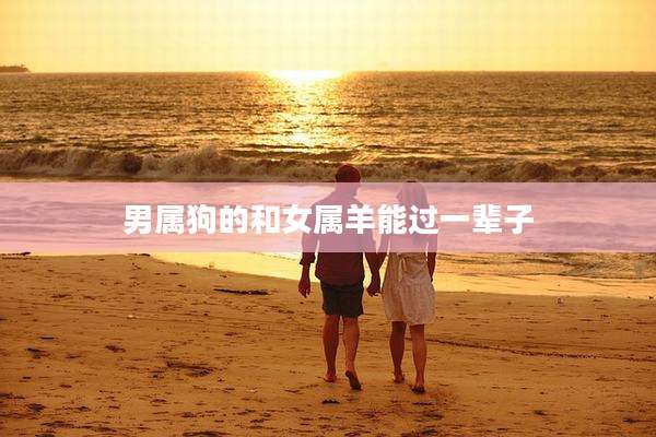 男属狗的和女属羊能过一辈子