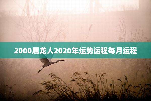2000属龙人2020年运势运程每月运程