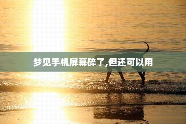 梦见手机屏幕碎了,但还可以用