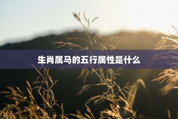 生肖属马的五行属性是什么
