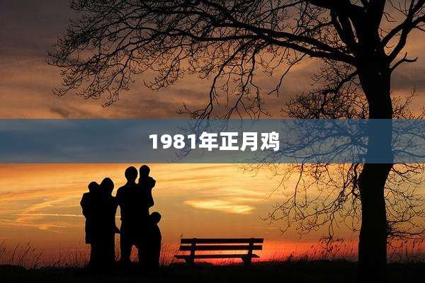 1981年正月鸡