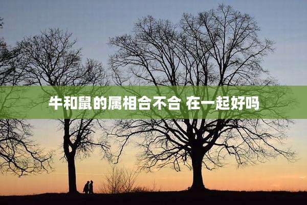 牛和鼠的属相合不合 在一起好吗