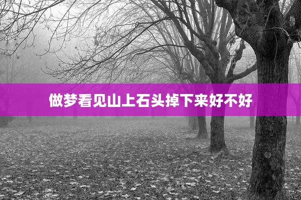 做梦看见山上石头掉下来好不好