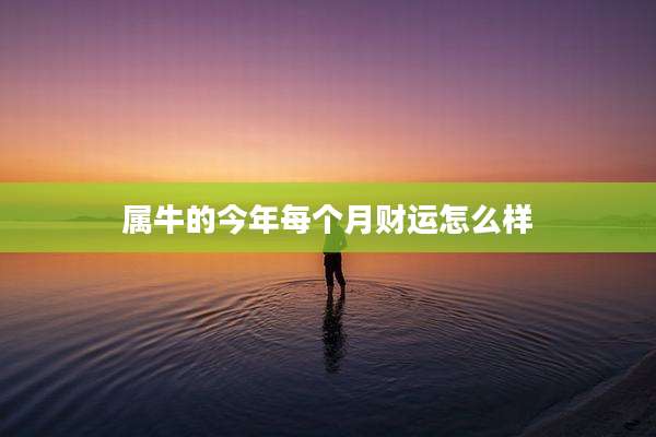 属牛的今年每个月财运怎么样