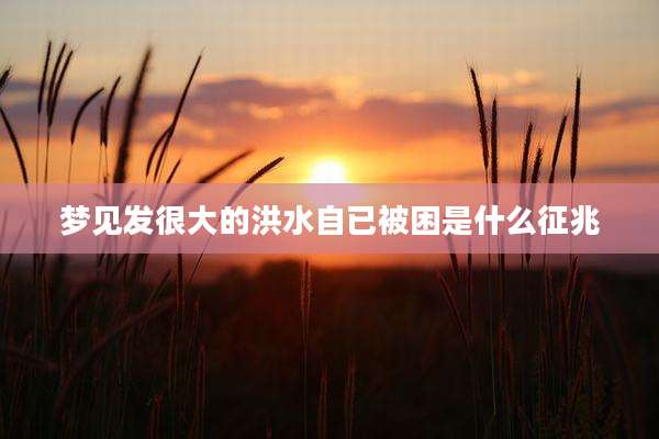 梦见发很大的洪水自已被困是什么征兆
