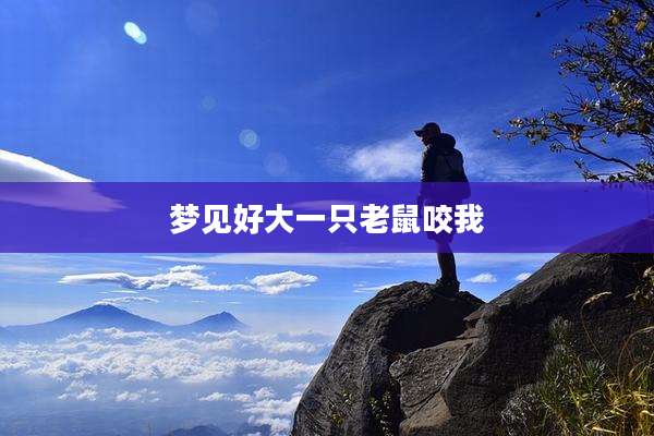 梦见好大一只老鼠咬我