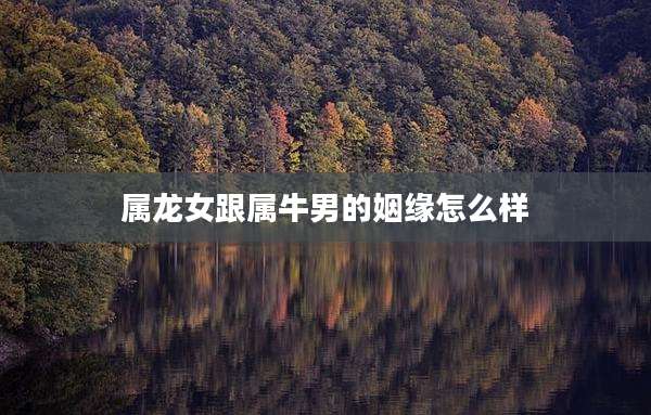 属龙女跟属牛男的姻缘怎么样
