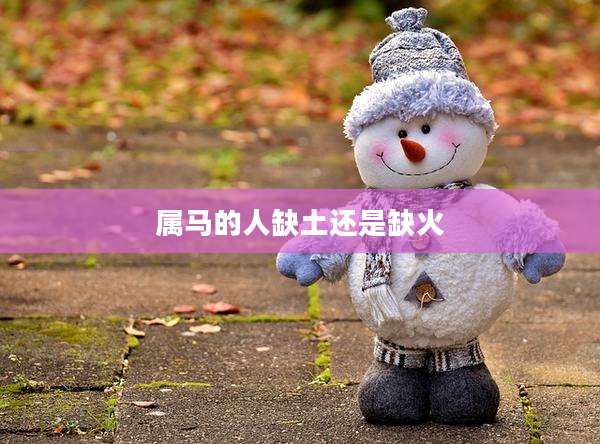 属马的人缺土还是缺火