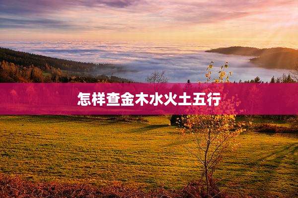 怎样查金木水火土五行