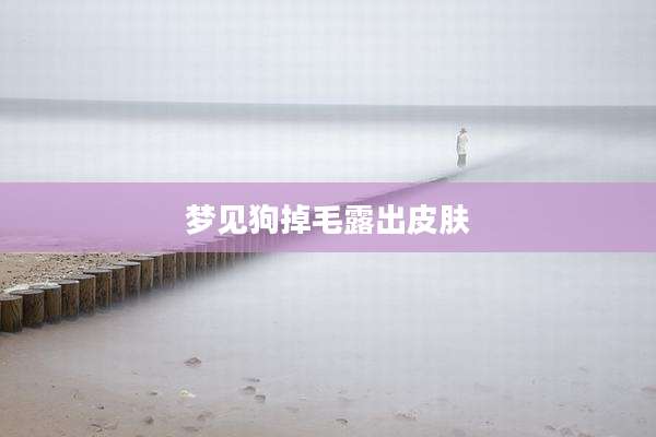 梦见狗掉毛露出皮肤