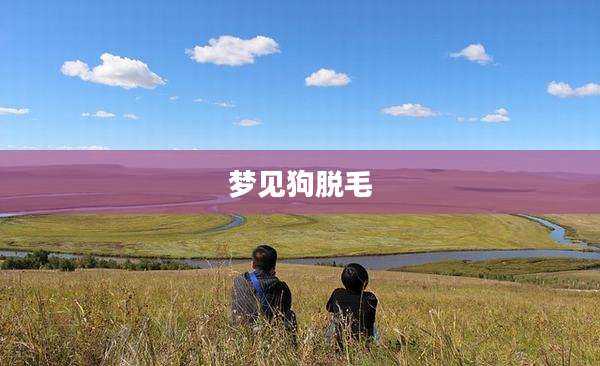 梦见狗脱毛