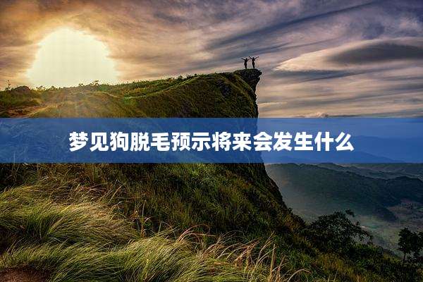 梦见狗脱毛预示将来会发生什么