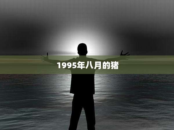 1995年八月的猪