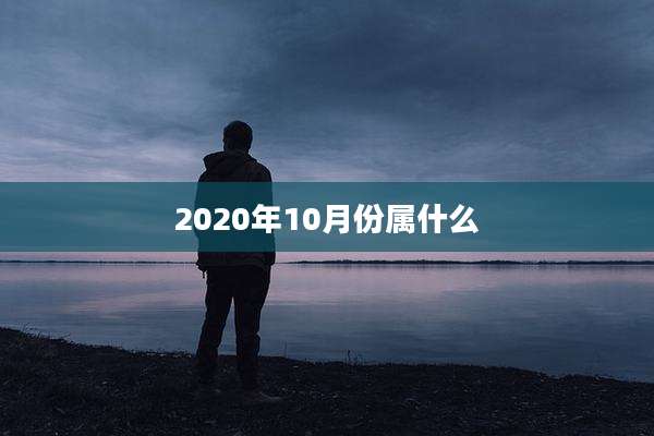2020年10月份属什么