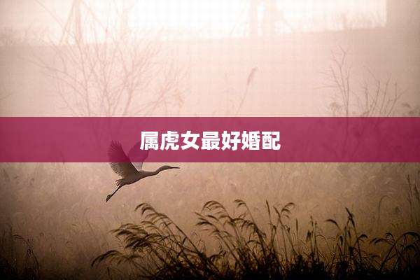 属虎女最好婚配