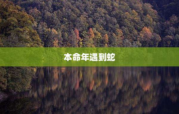 本命年遇到蛇