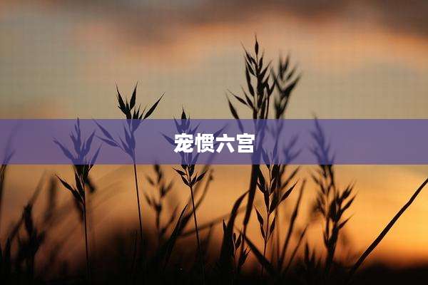 宠惯六宫