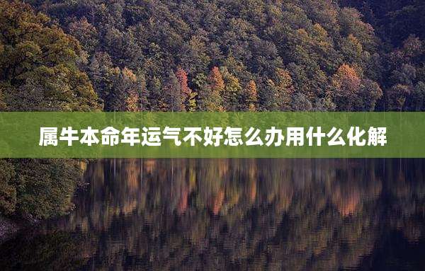 属牛本命年运气不好怎么办用什么化解