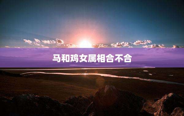 马和鸡女属相合不合