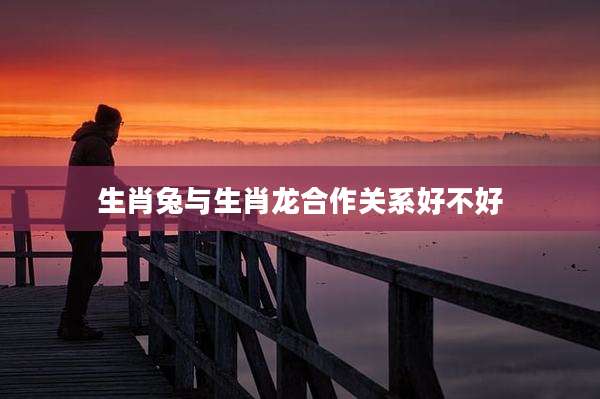 生肖兔与生肖龙合作关系好不好