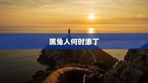 属兔人何时添丁