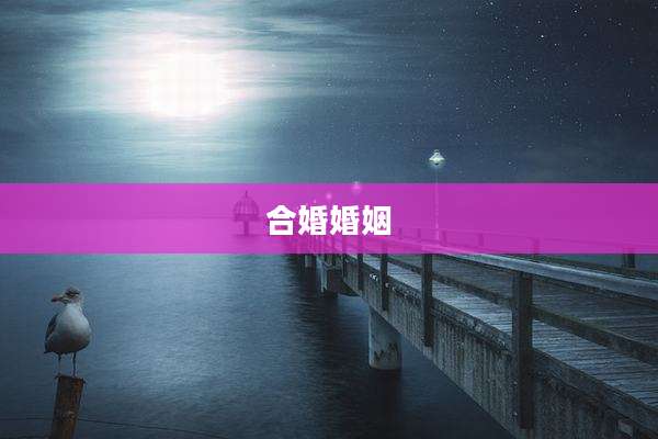 合婚婚姻