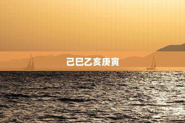 己巳乙亥庚寅