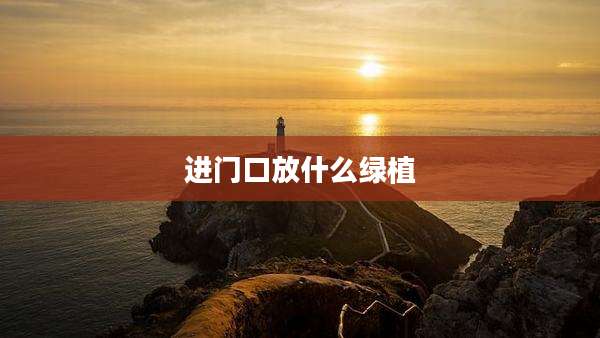 进门口放什么绿植