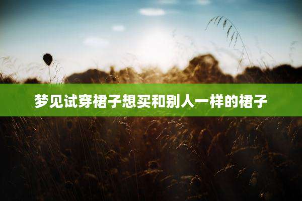 梦见试穿裙子想买和别人一样的裙子
