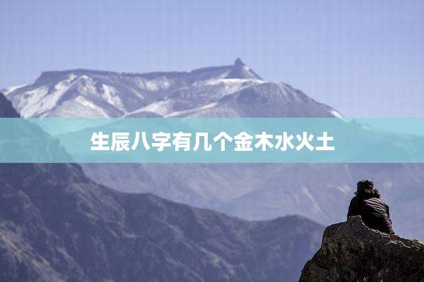 生辰八字有几个金木水火土