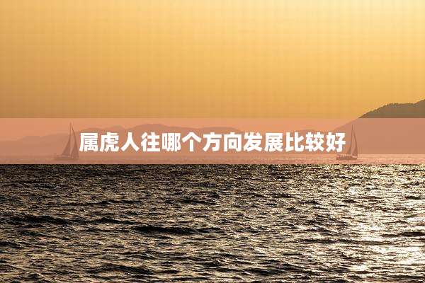属虎人往哪个方向发展比较好
