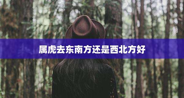 属虎去东南方还是西北方好