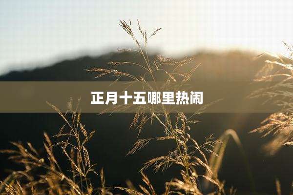 正月十五哪里热闹