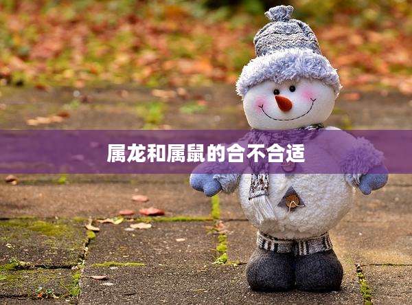 属龙和属鼠的合不合适