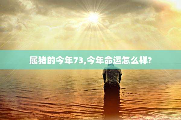 属猪的今年73,今年命运怎么样?