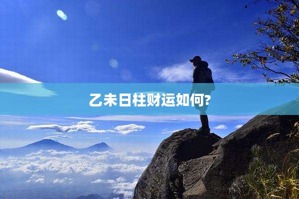 乙未日柱财运如何?