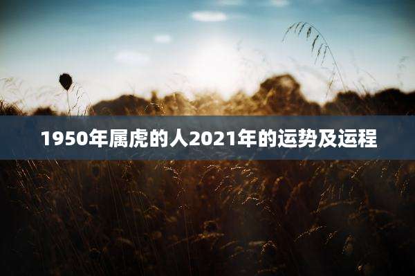 1950年属虎的人2021年的运势及运程