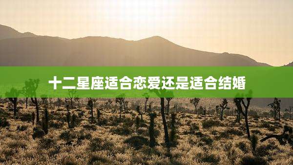 十二星座适合恋爱还是适合结婚